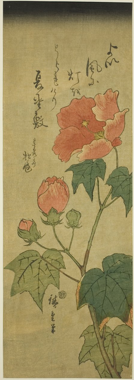 Hibiscus - Utagawa Hiroshige