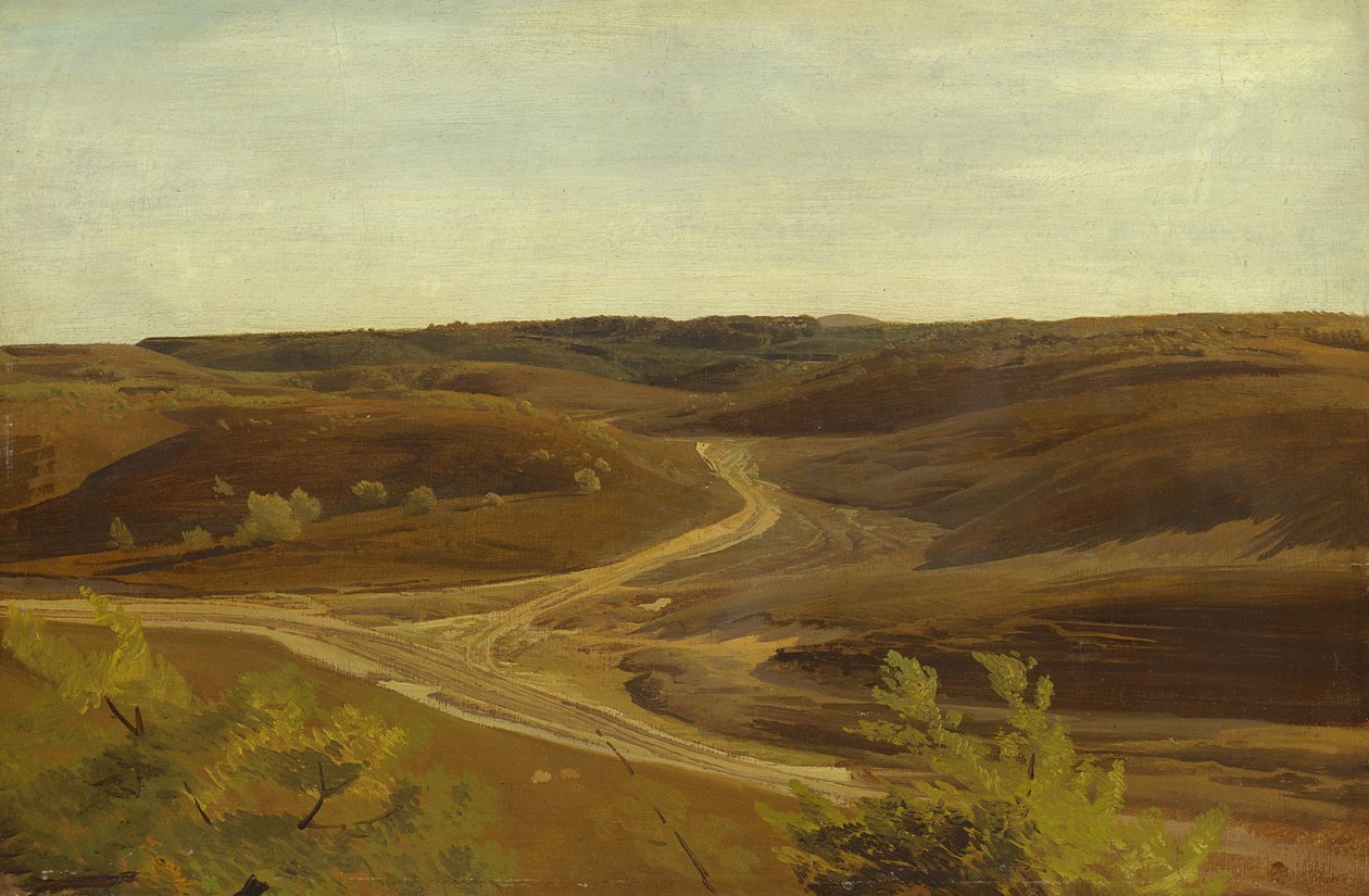 La lande près d