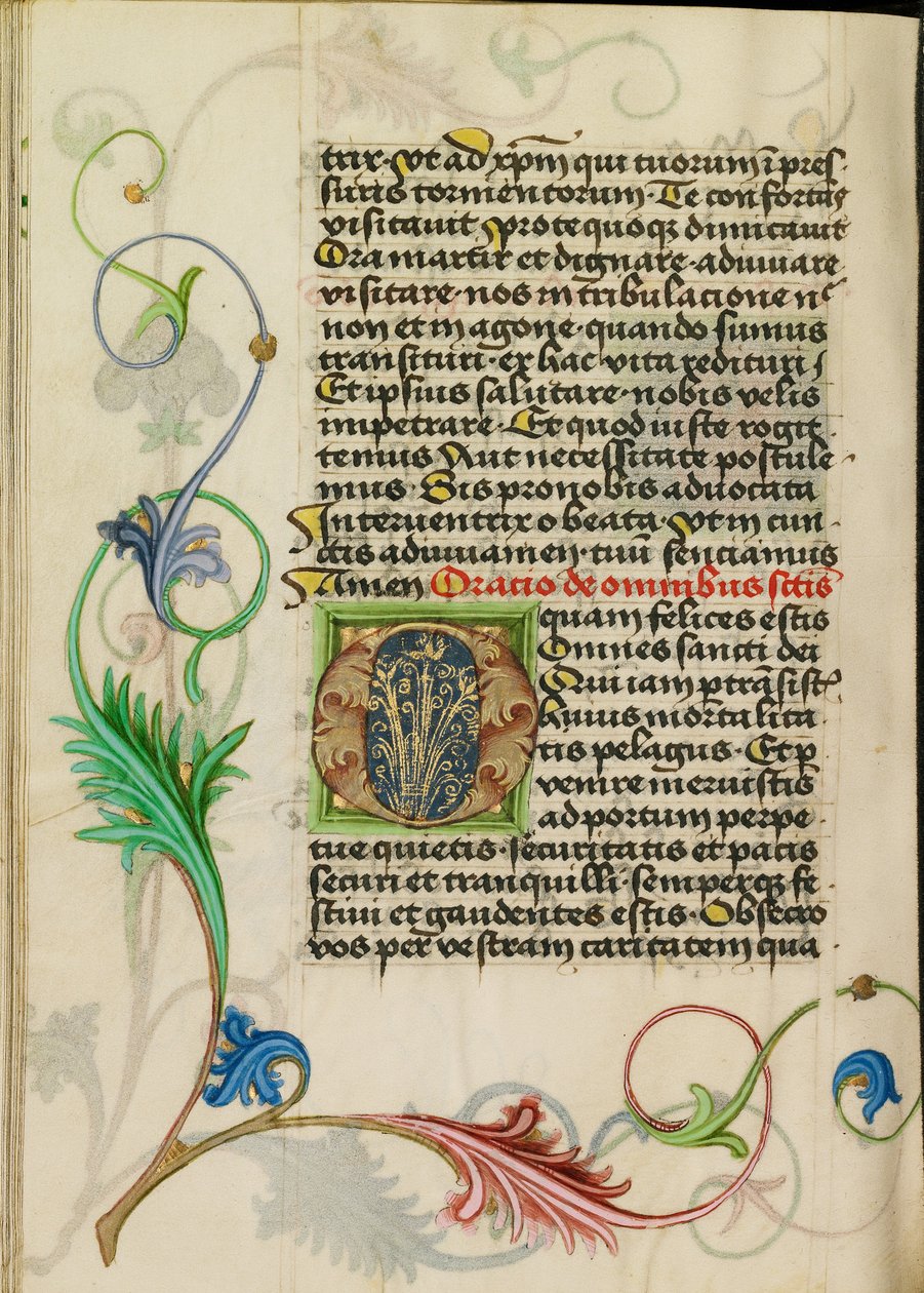 Initiale O décorée - Valentine Noh
