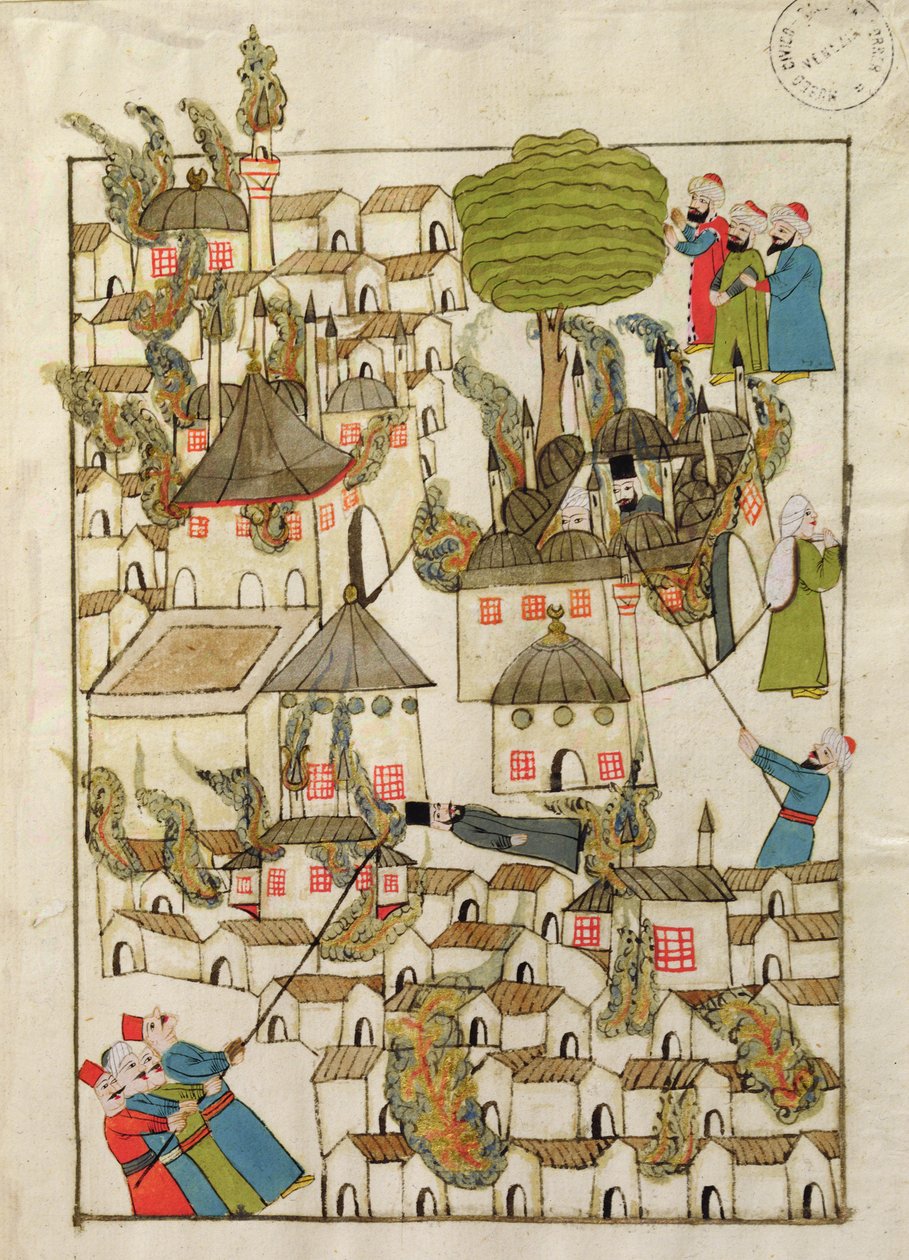 Ms. cicogna 1971, miniature des 