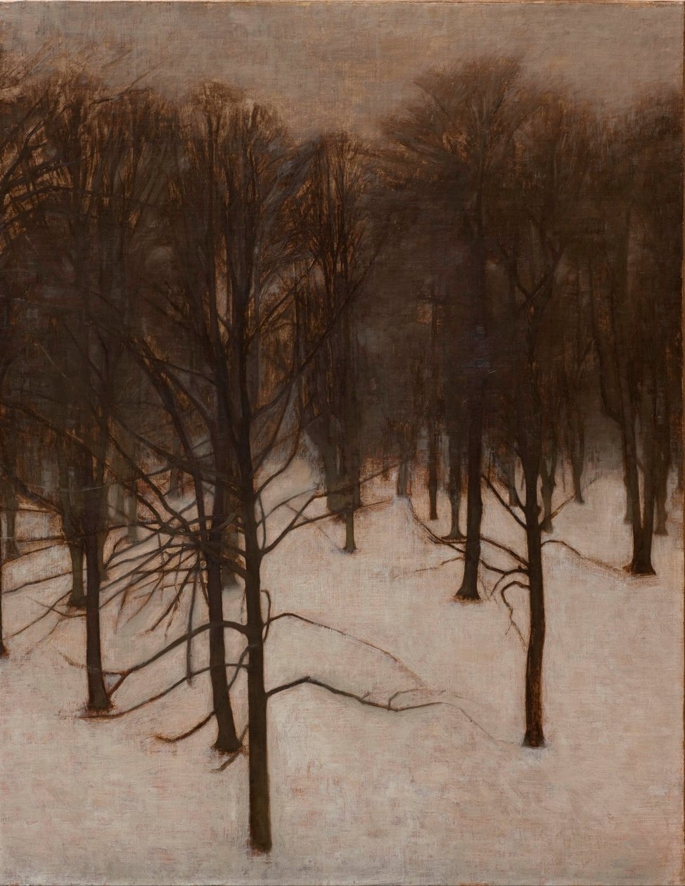 Parc Søndermarken en hiver - Vilhelm Hammershøi