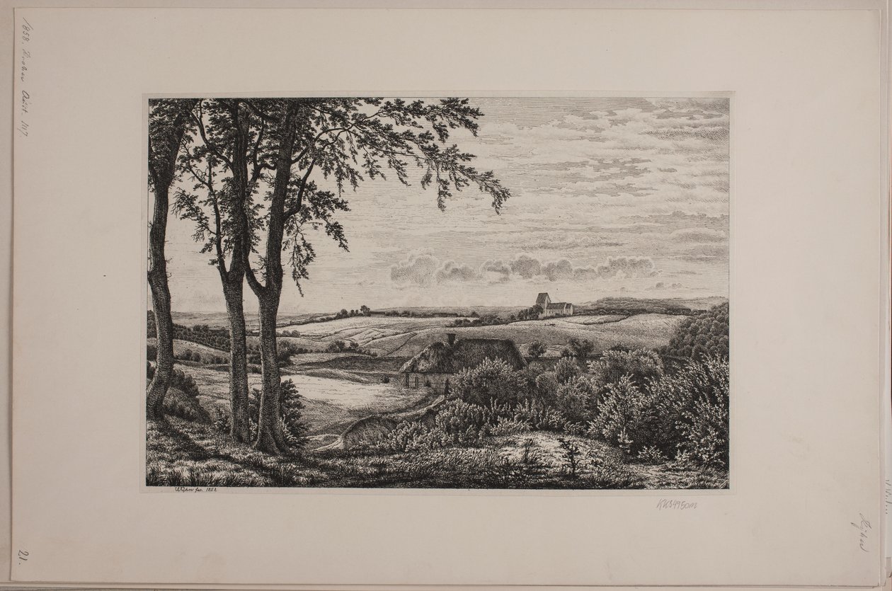 Paysage d