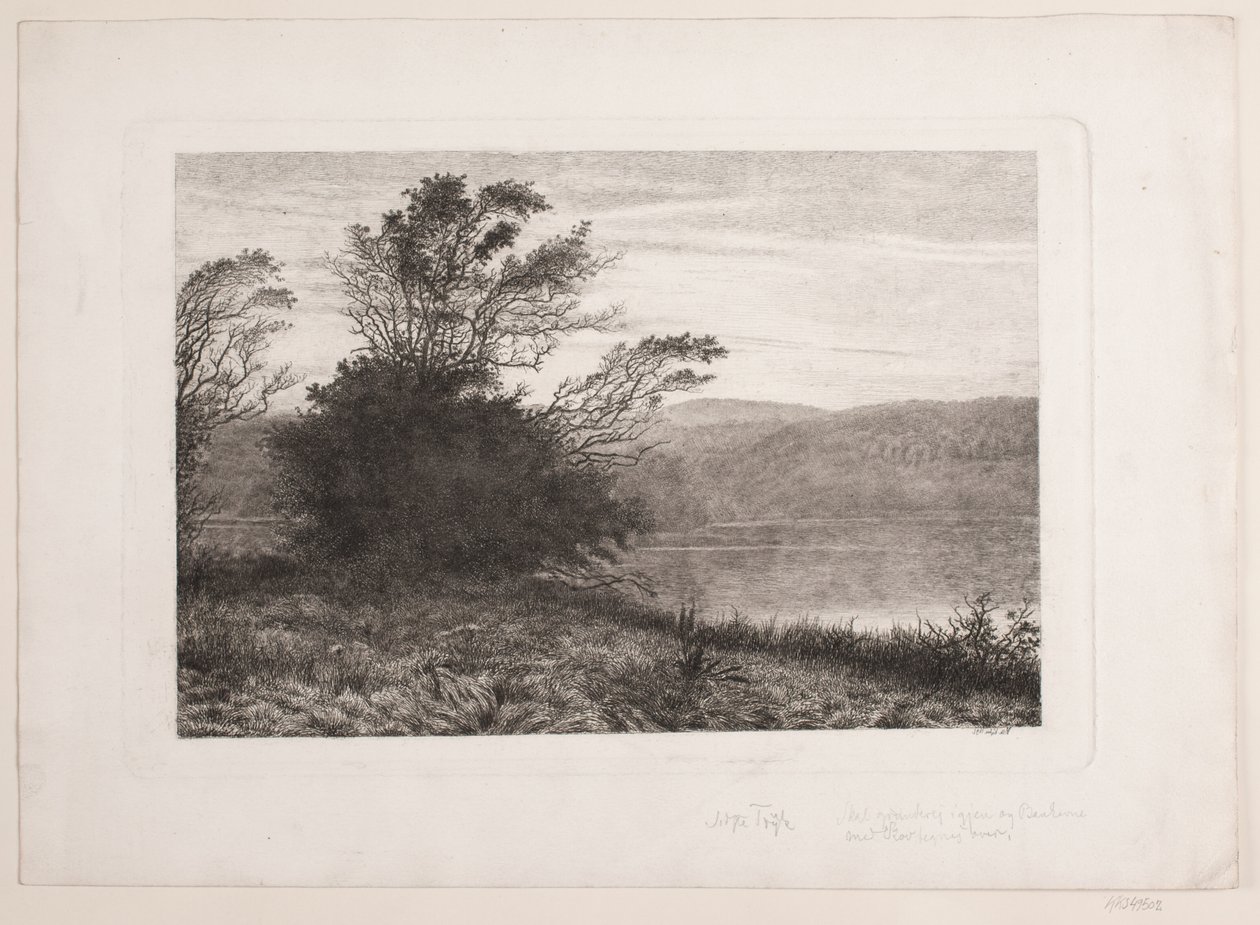 Rye sø - Vilhelm Kyhn