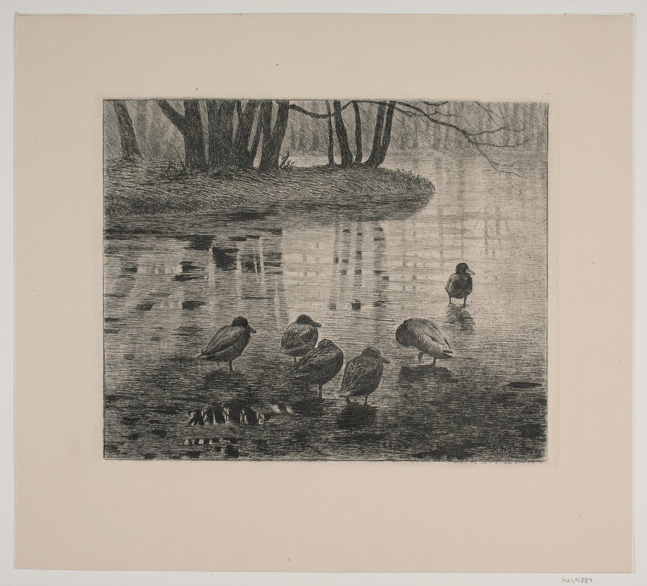Canards - Vilhelm Th. Fischer