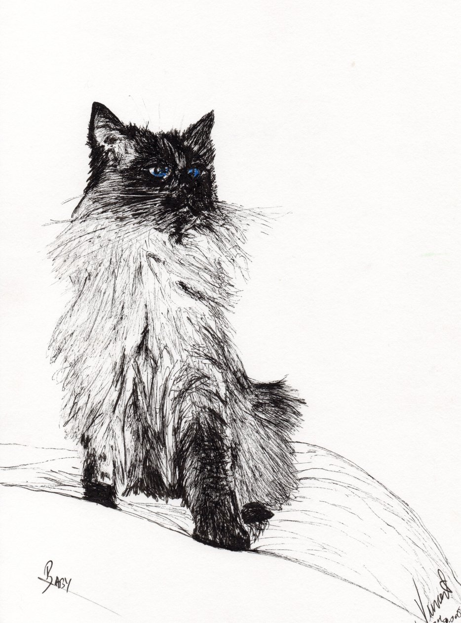 Bébé, 2008 - Vincent Alexander Booth
