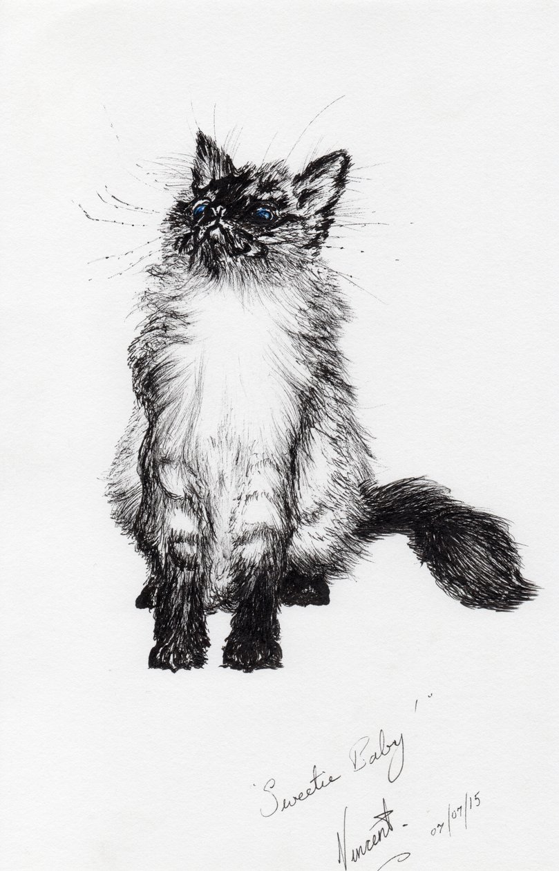 Bébé sucré, 2015 - Vincent Alexander Booth