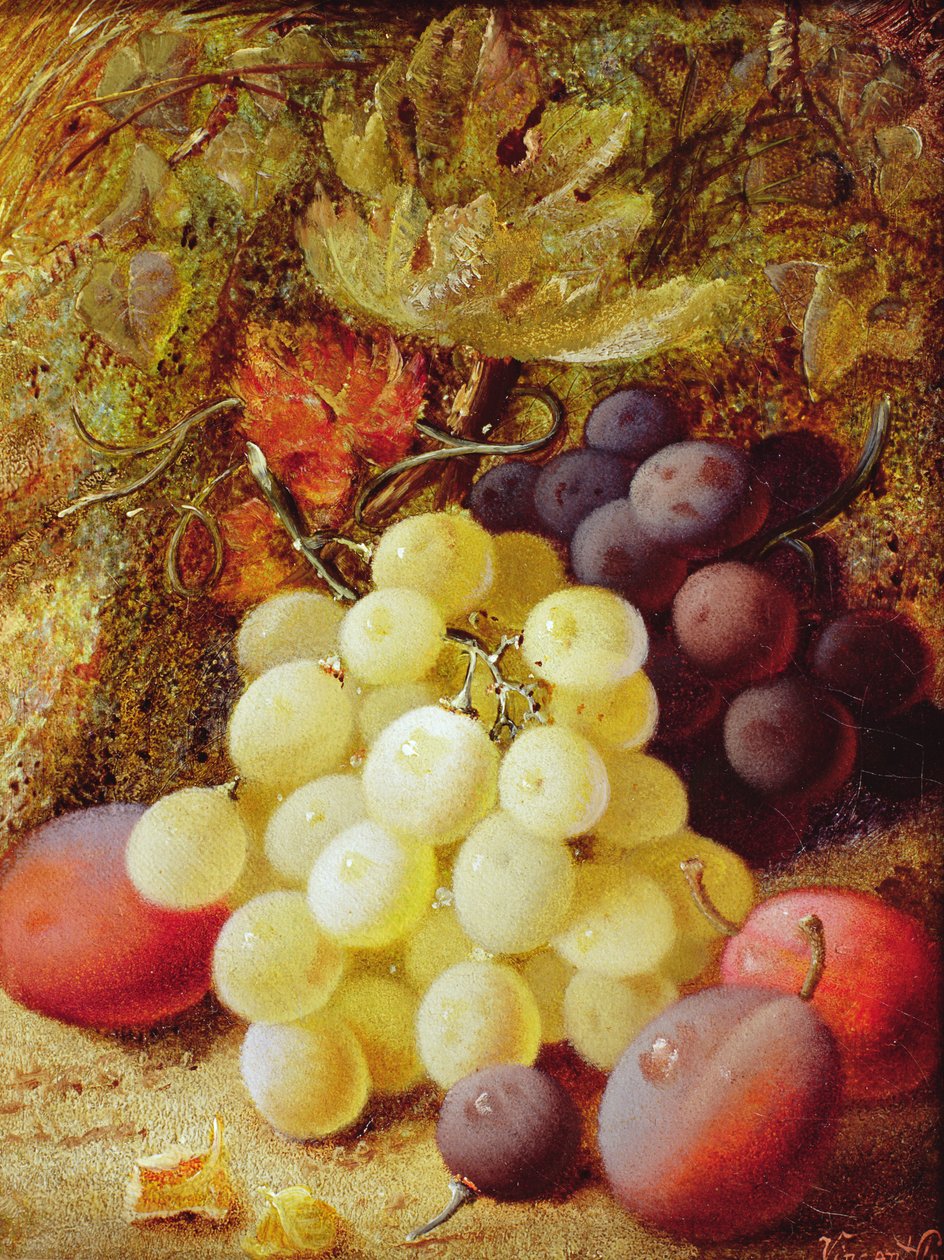 Raisins et prunes - Vincent Clare