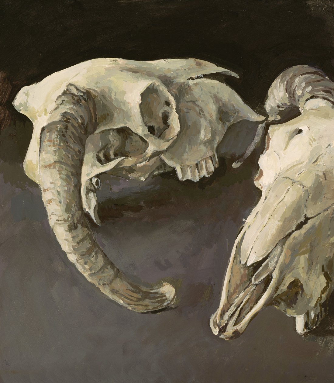 Crânes de moutons, 2001 - Vincent Yorke