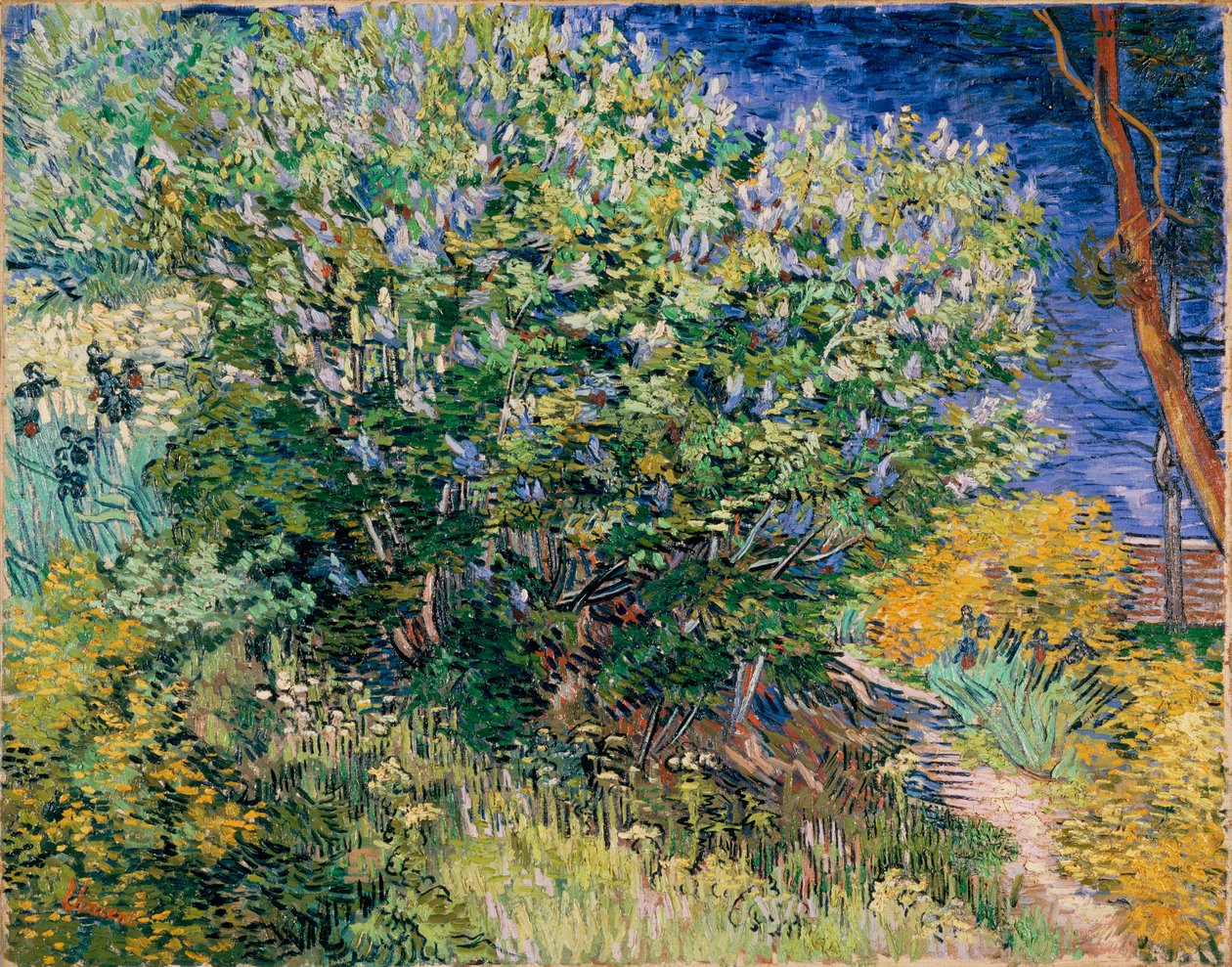 Buisson de lilas - Vincent van Gogh