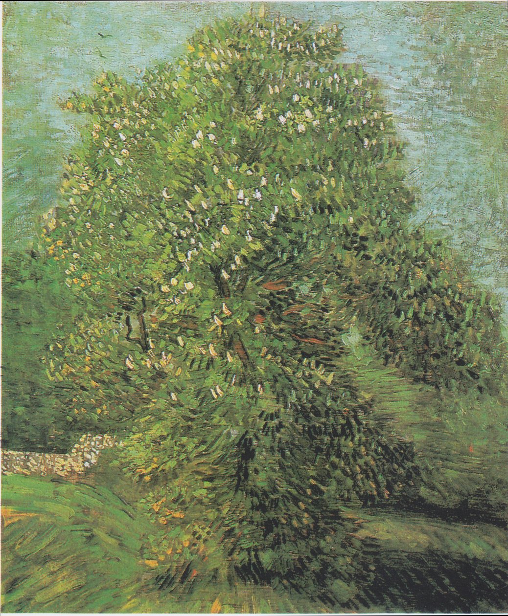 Châtaignier en fleurs - Vincent van Gogh