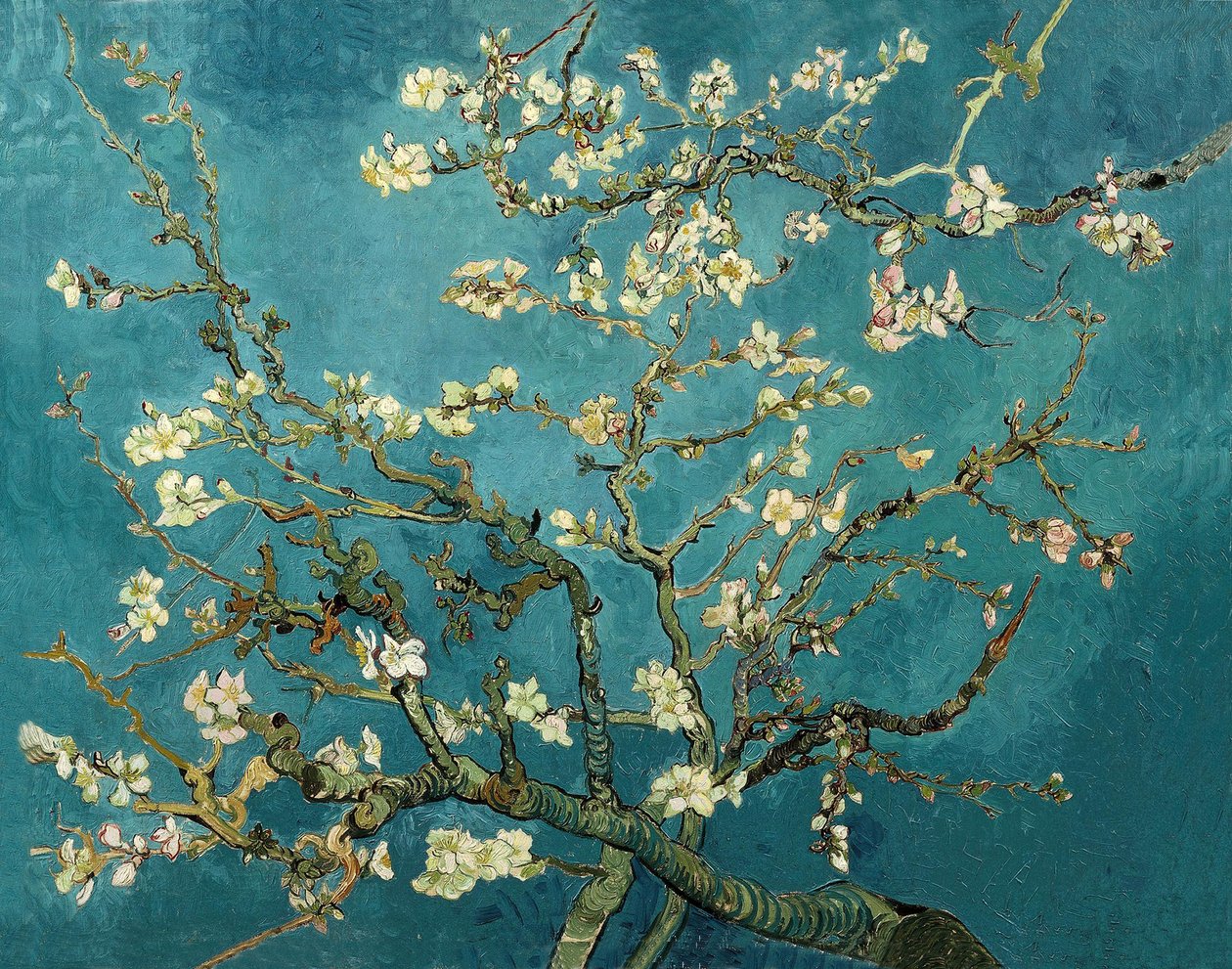 Amandiers en fleurs - Vincent van Gogh