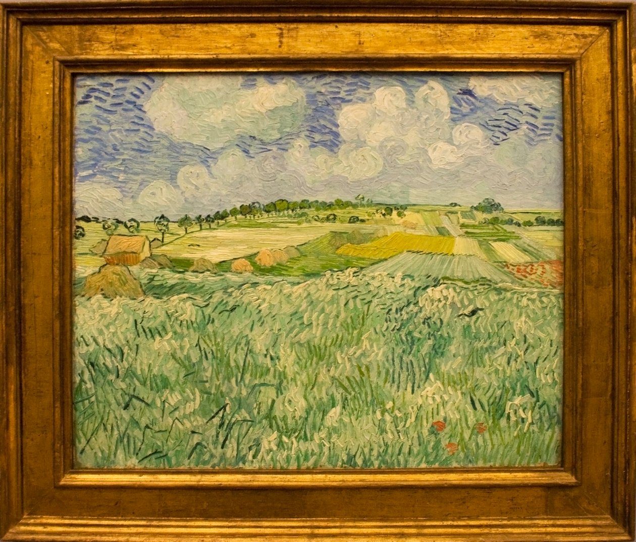 Plaine près d
