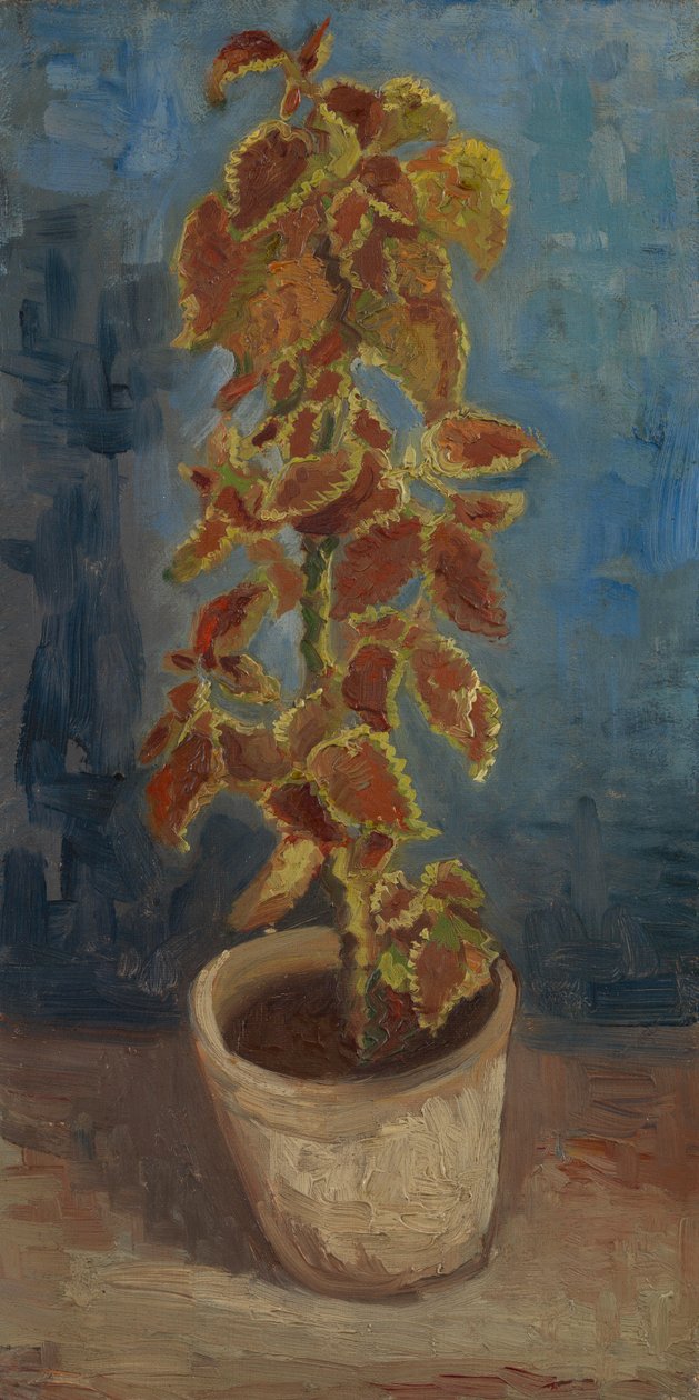 Ortie flamboyante dans un pot de fleurs - Vincent van Gogh