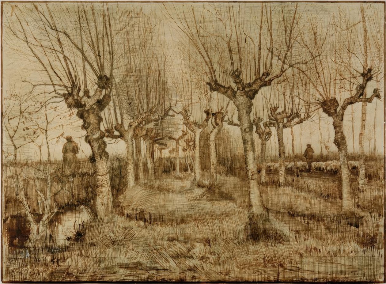 Saules têtards - Vincent van Gogh