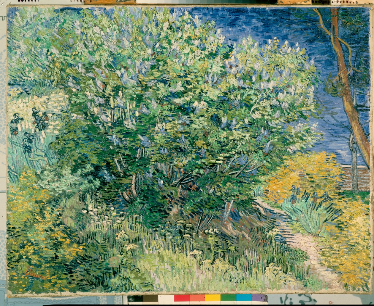 Buisson de lilas - Vincent van Gogh