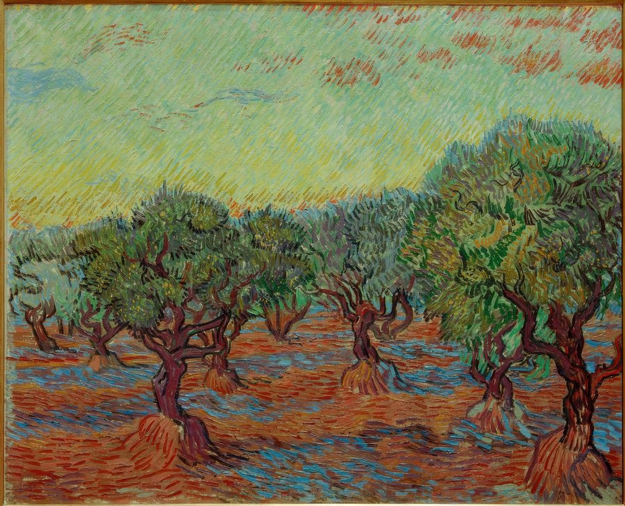 Oliveraie - Vincent van Gogh