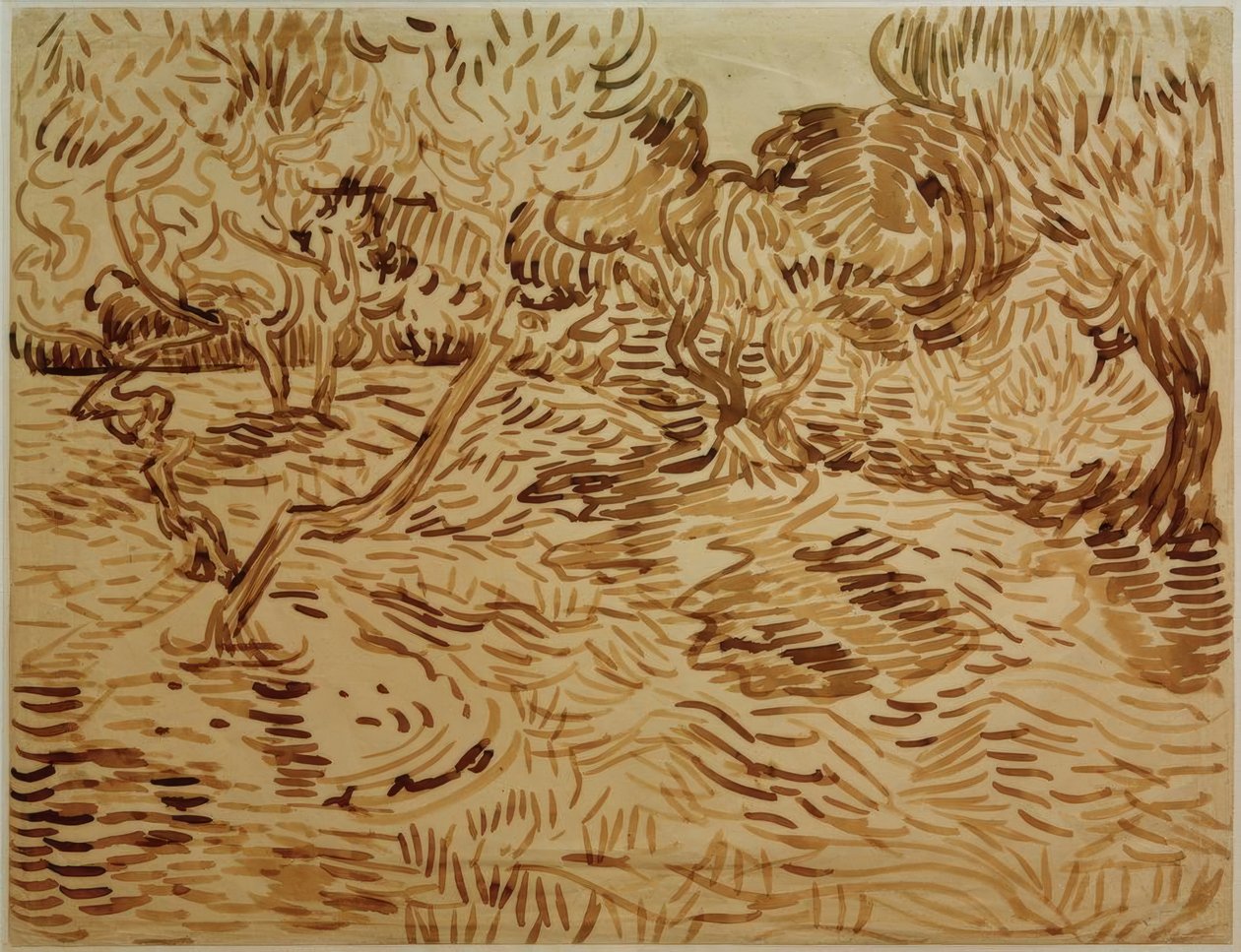 Oliveraie - Vincent van Gogh