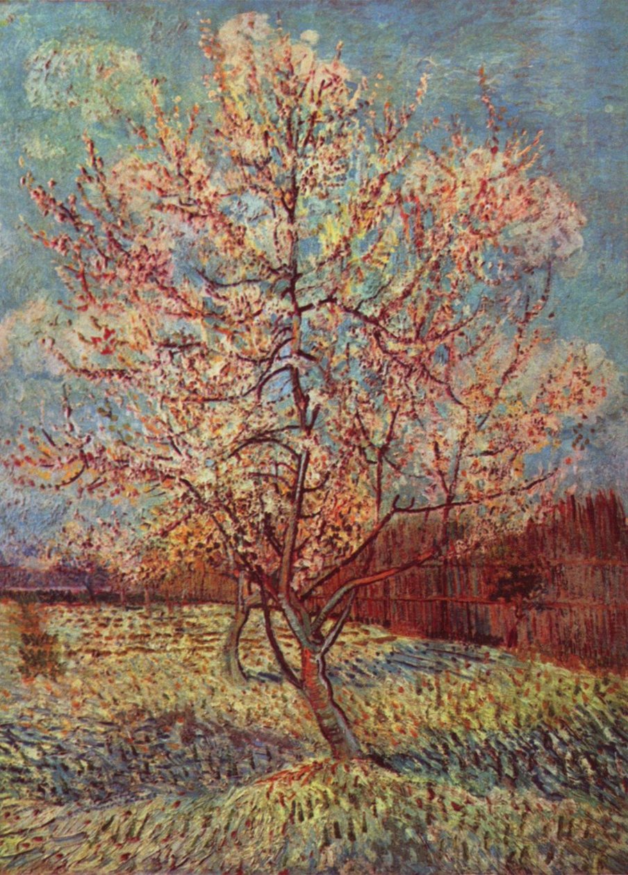 Pêcher en Fleurs - Vincent van Gogh