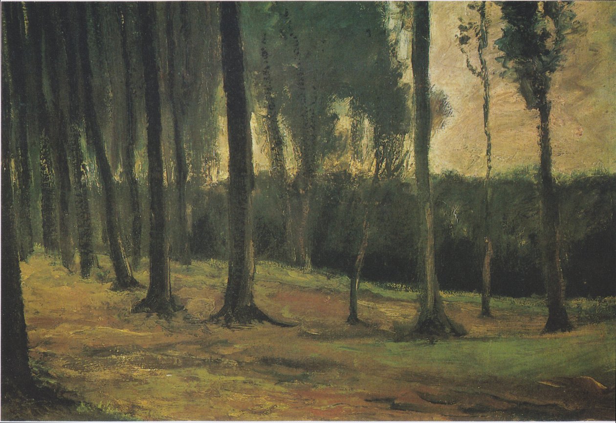 Lisière de la Forêt - Vincent van Gogh