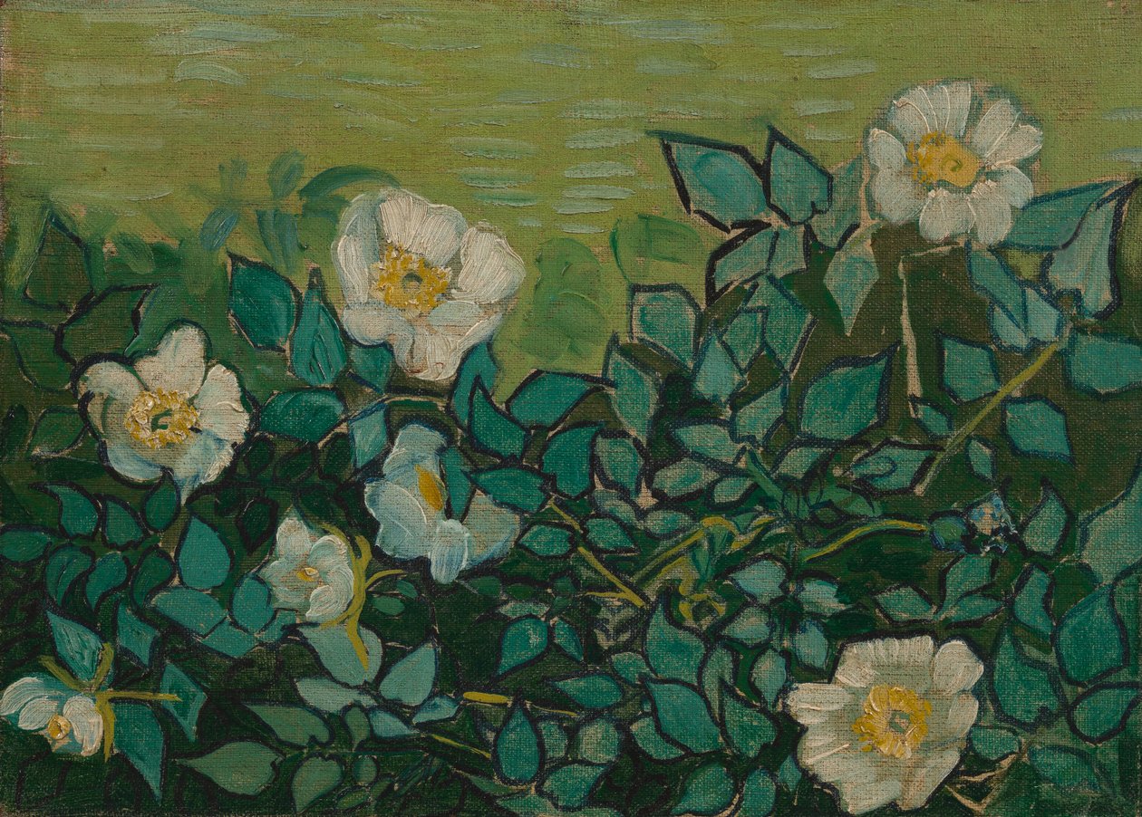 Roses sauvages - Vincent van Gogh