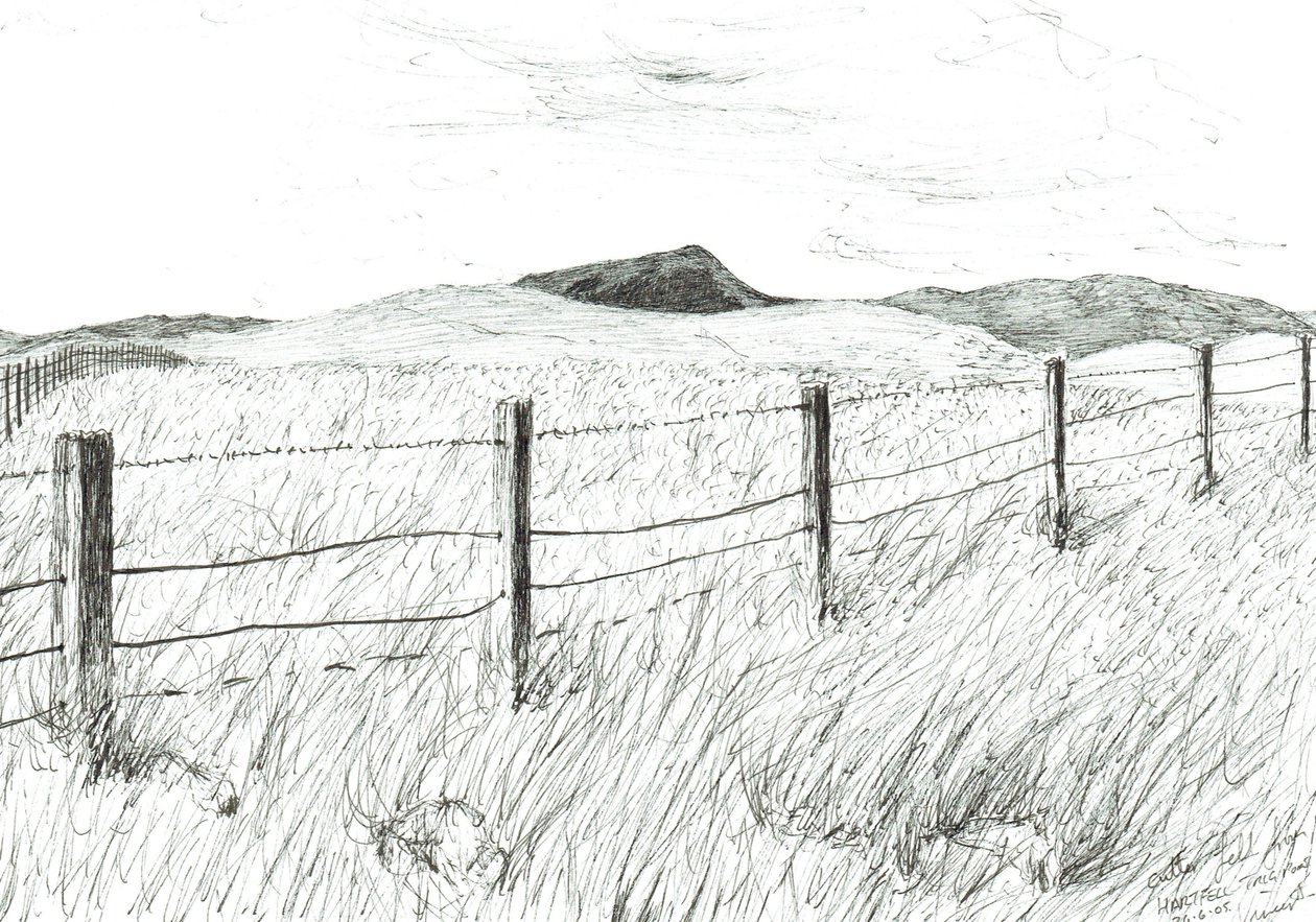 Culter Fell depuis Hartfell, 2005 - Vincent Alexander Booth