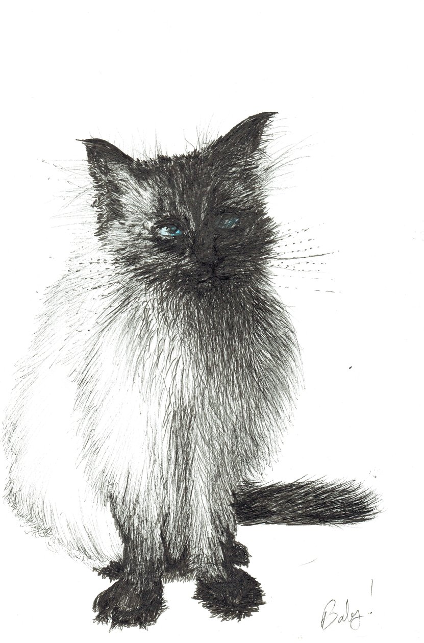 Jeune bébé, 2004 - Vincent Alexander Booth
