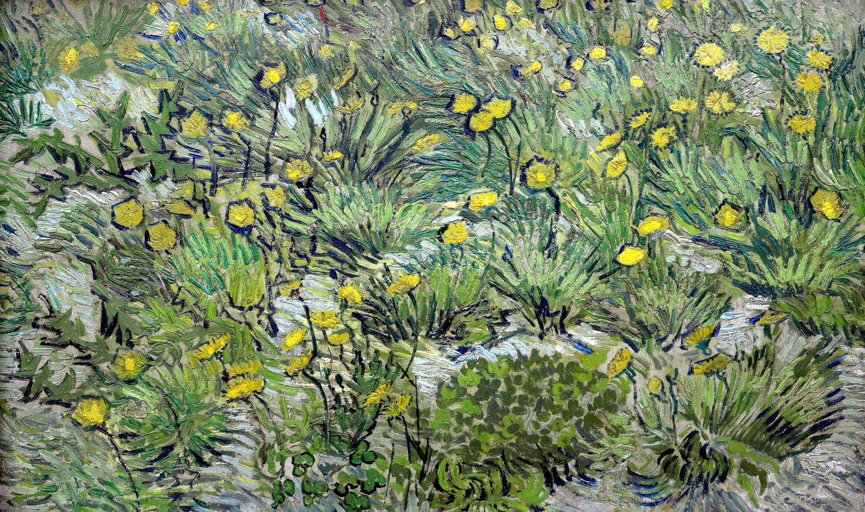 Les pissenlits - Vincent van Gogh