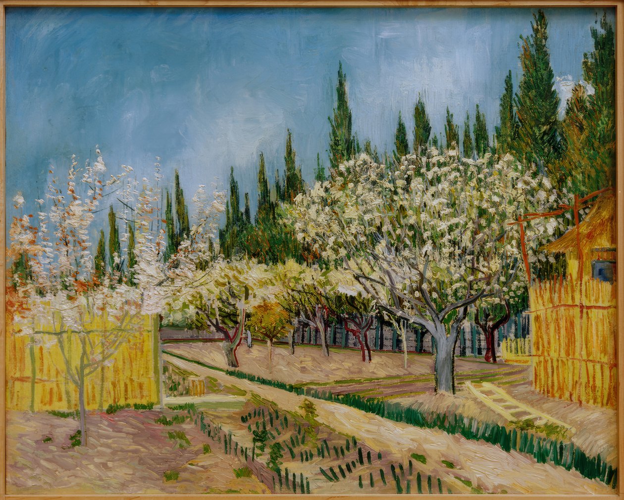 Verger en fleurs entouré de cyprès - Vincent van Gogh