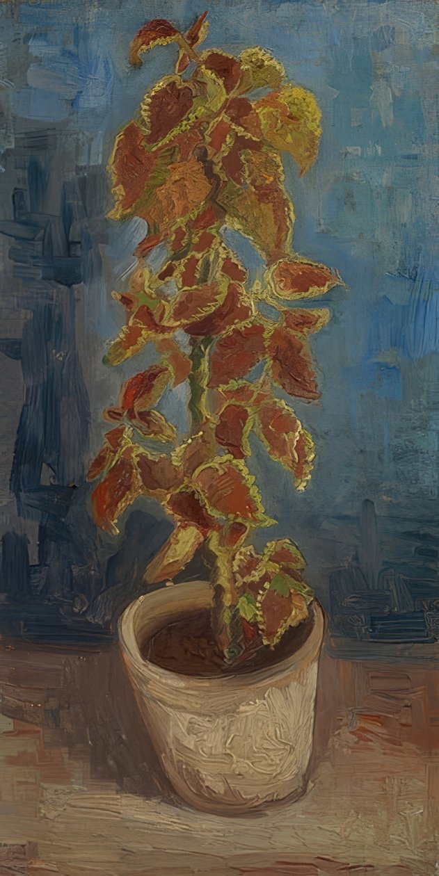 Pot de fleurs avec coleus - Vincent van Gogh