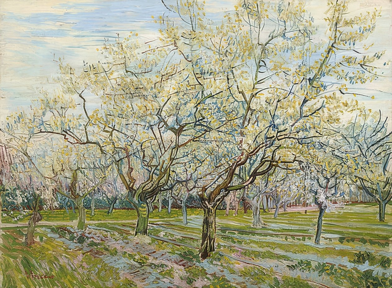 Le verger blanc. 1888 - Vincent van Gogh