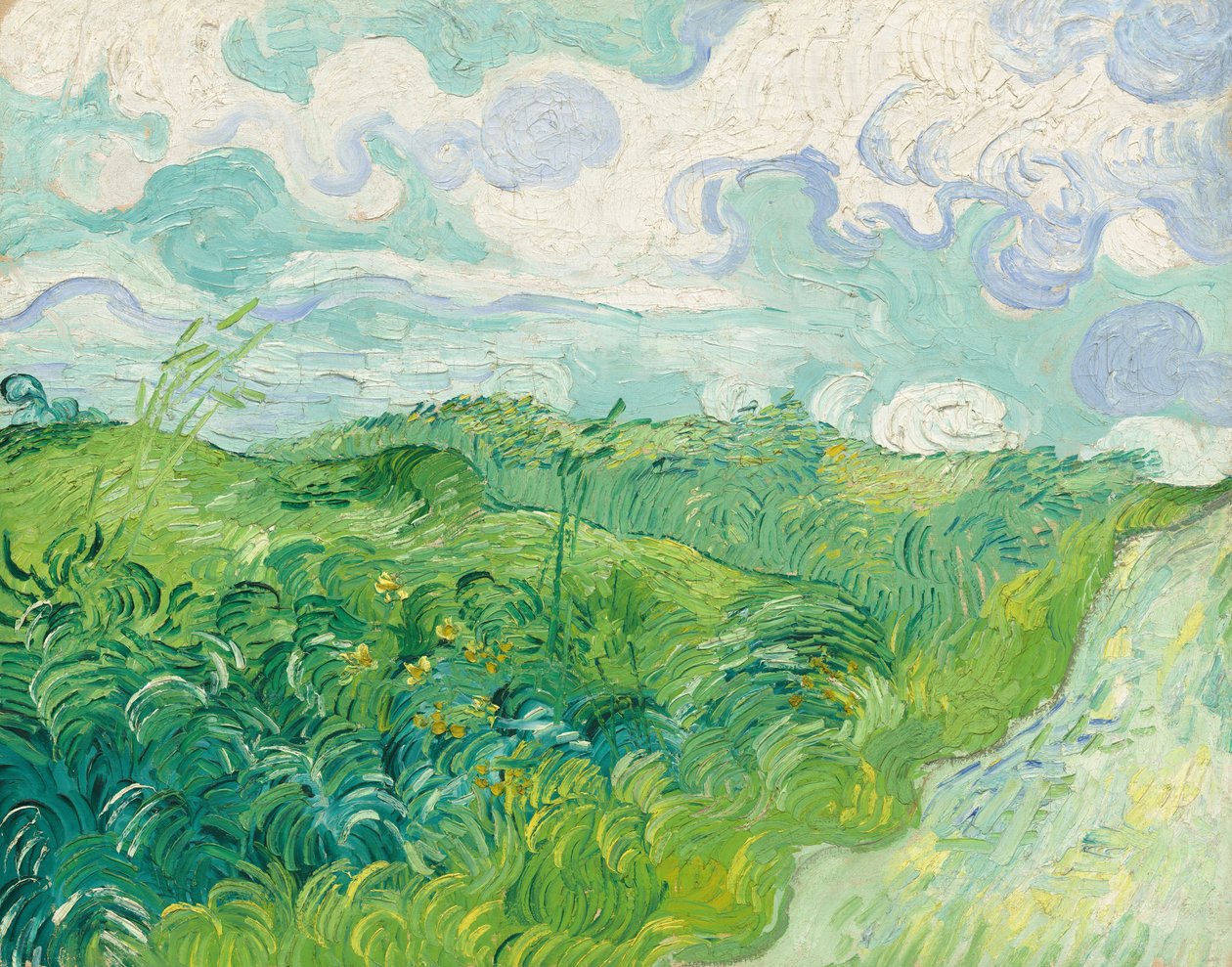 Champs de blé verts, Auvers - Vincent van Gogh