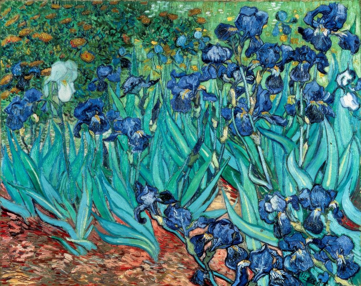 Iris - Vincent van Gogh