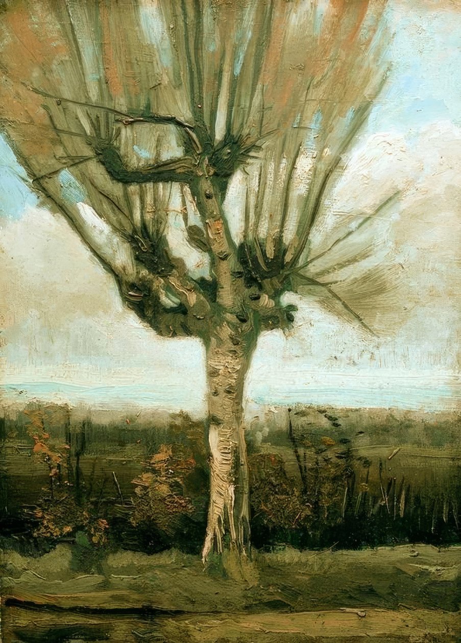 Saule têtard - Vincent van Gogh