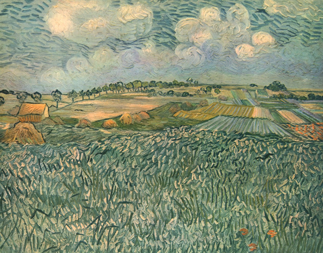 Paysage près d