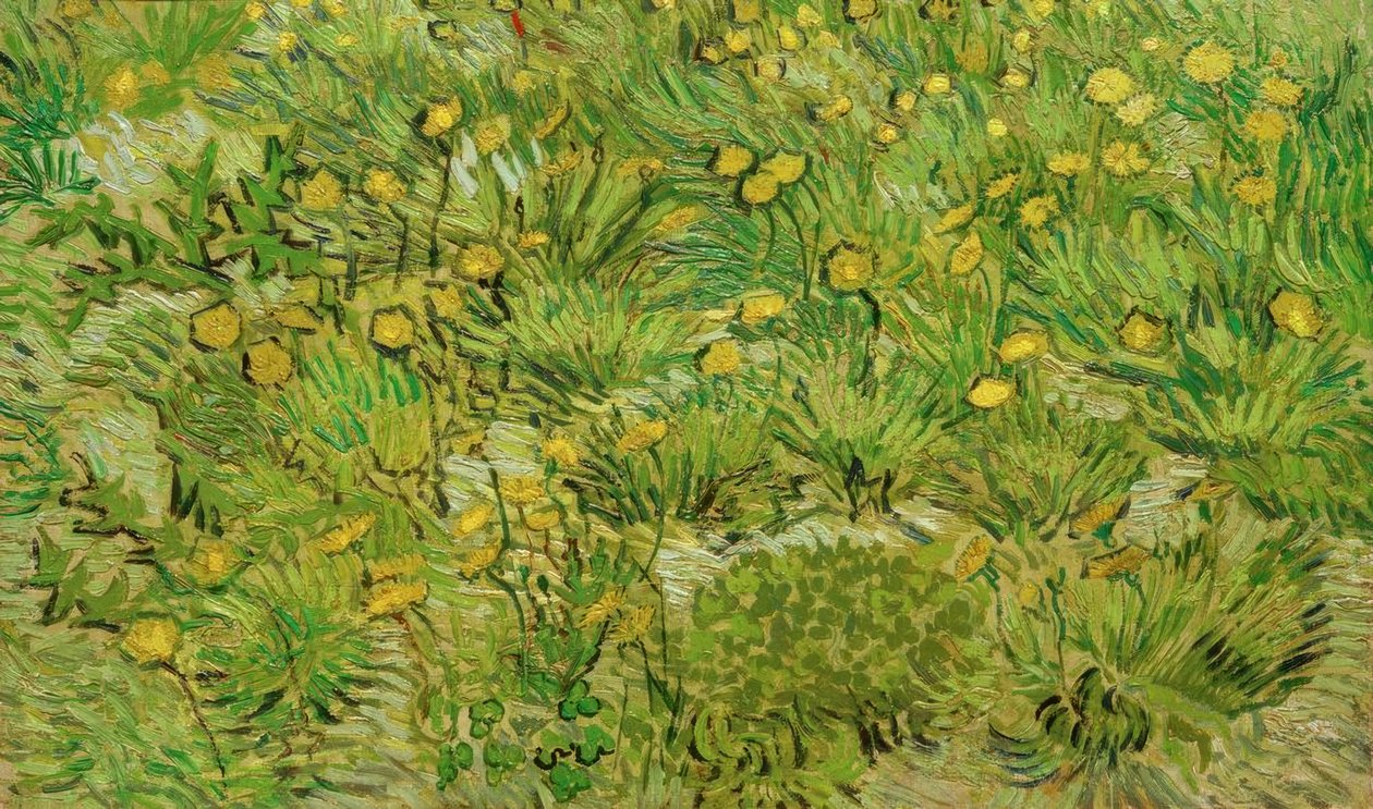 Les pissenlits - Vincent van Gogh