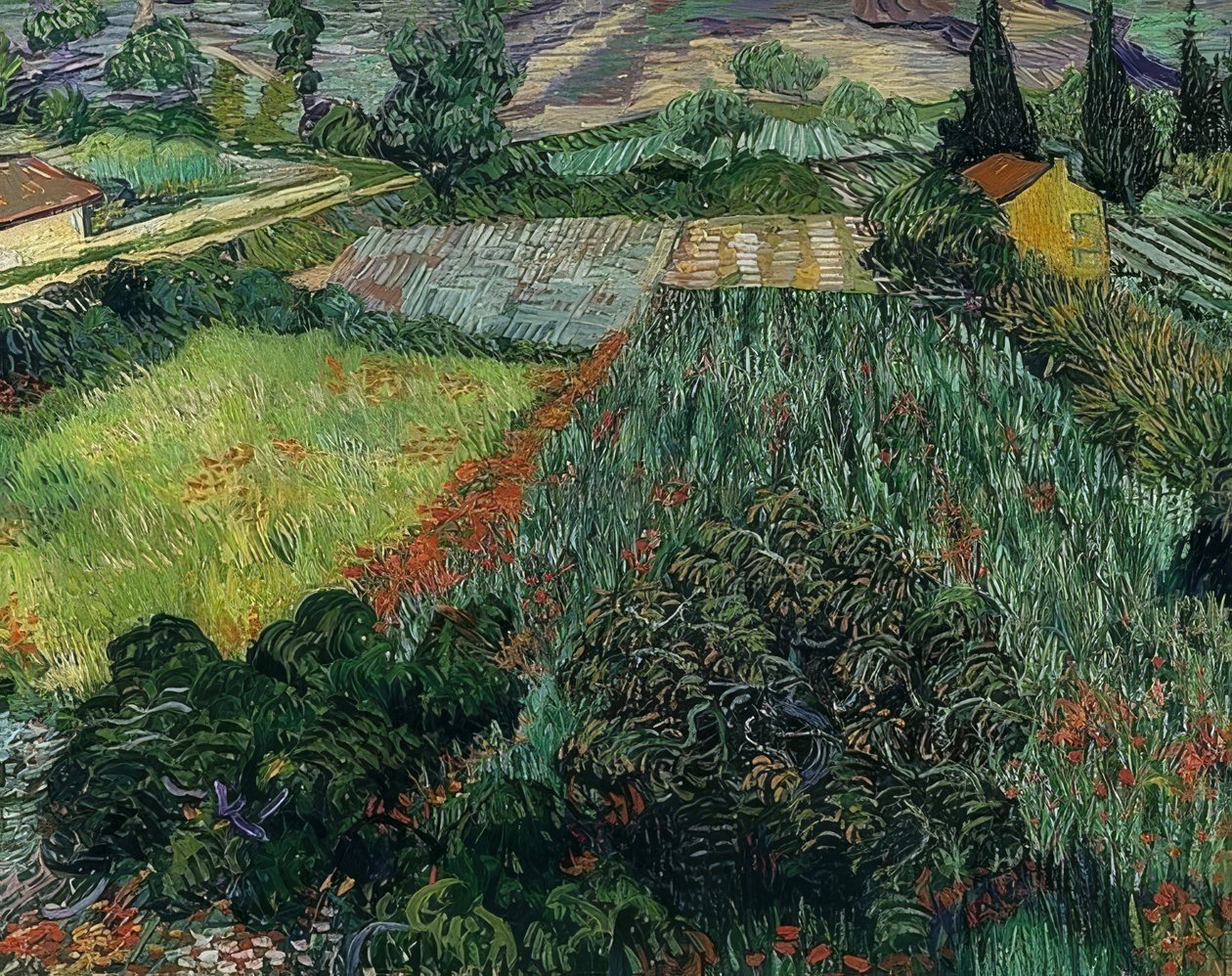 Champ de coquelicots - Vincent van Gogh