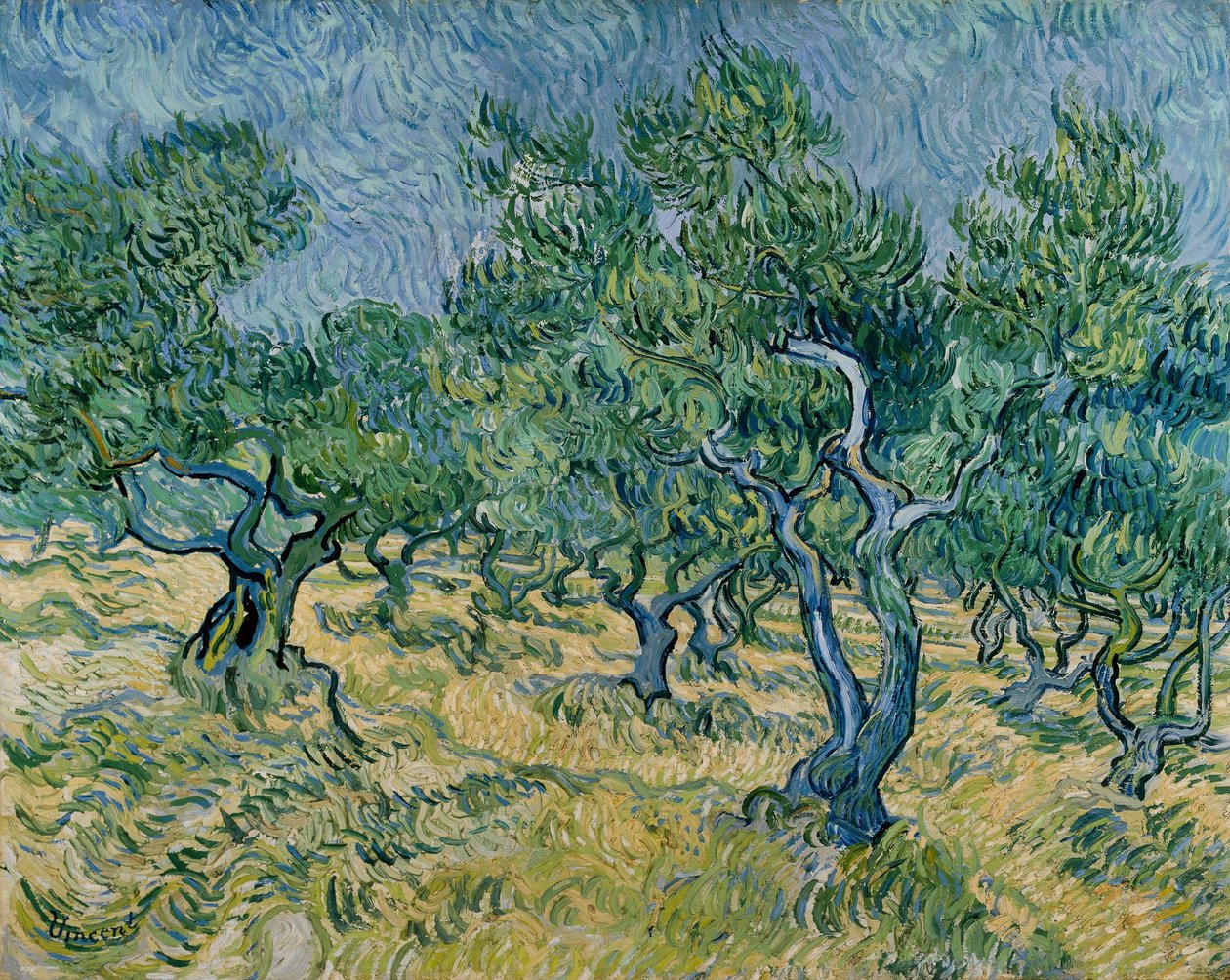 Oliveraie - Vincent van Gogh