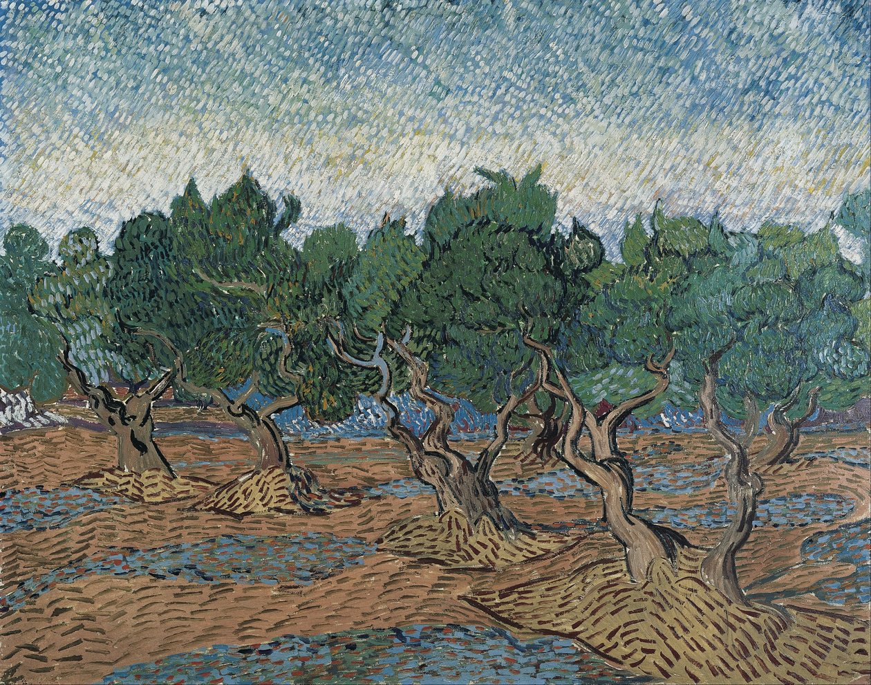 Oliveraie - Vincent van Gogh