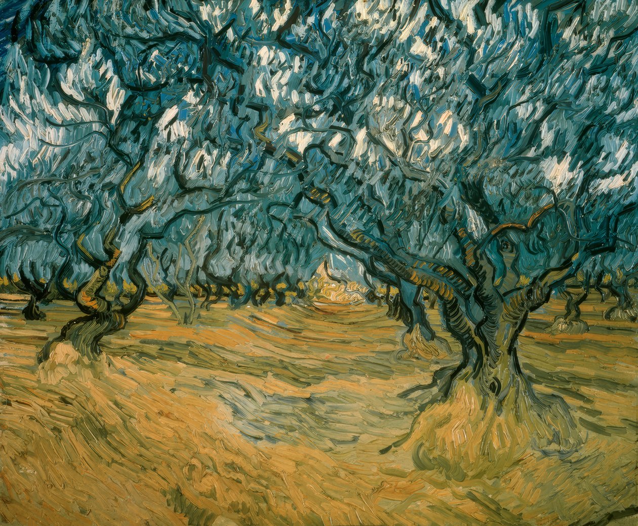 Oliviers - Vincent van Gogh