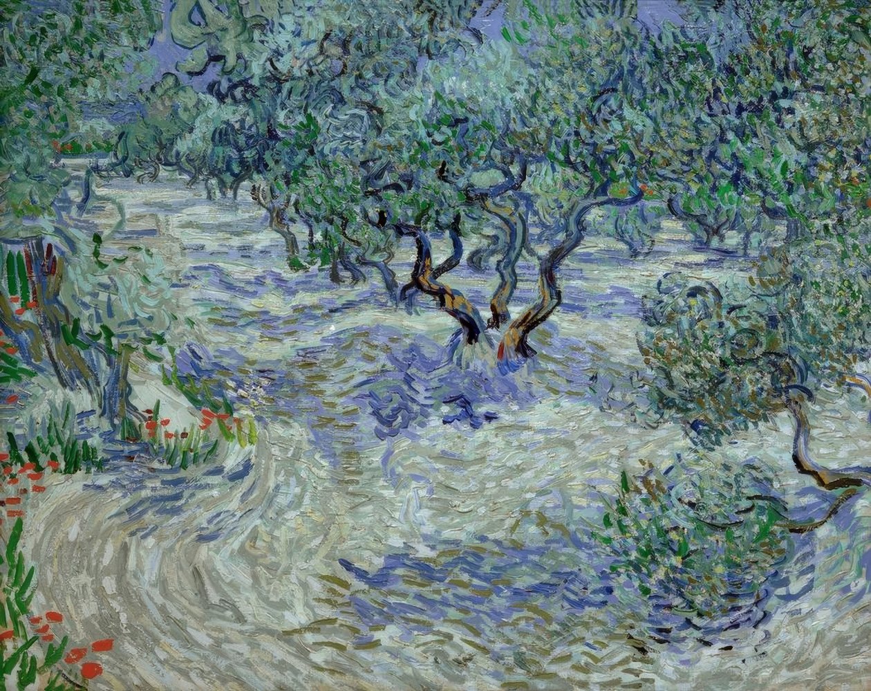 Oliveraie - Vincent van Gogh