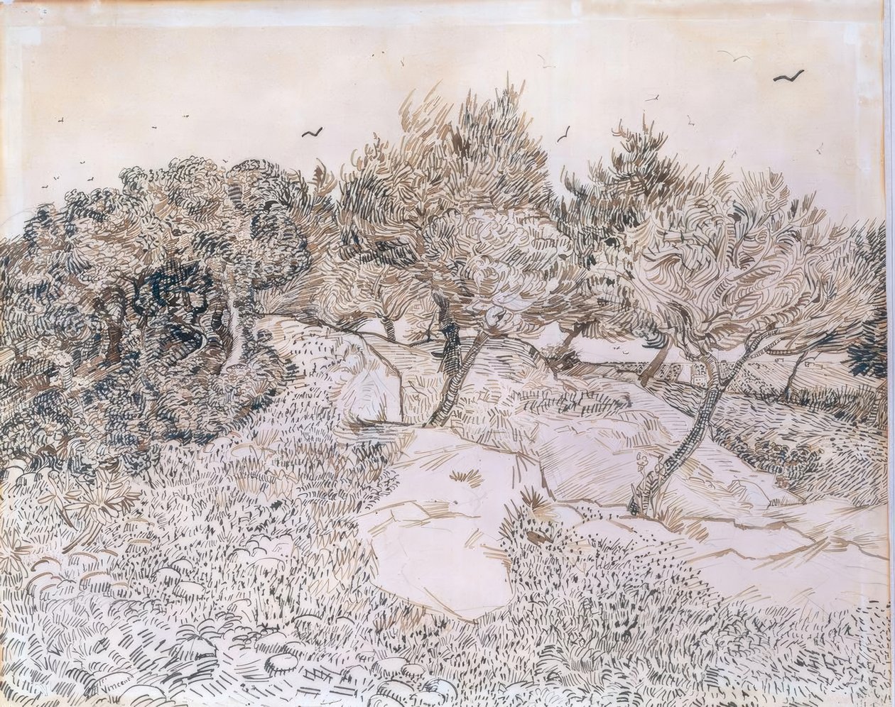 Oliviers à Montmajour - Vincent van Gogh