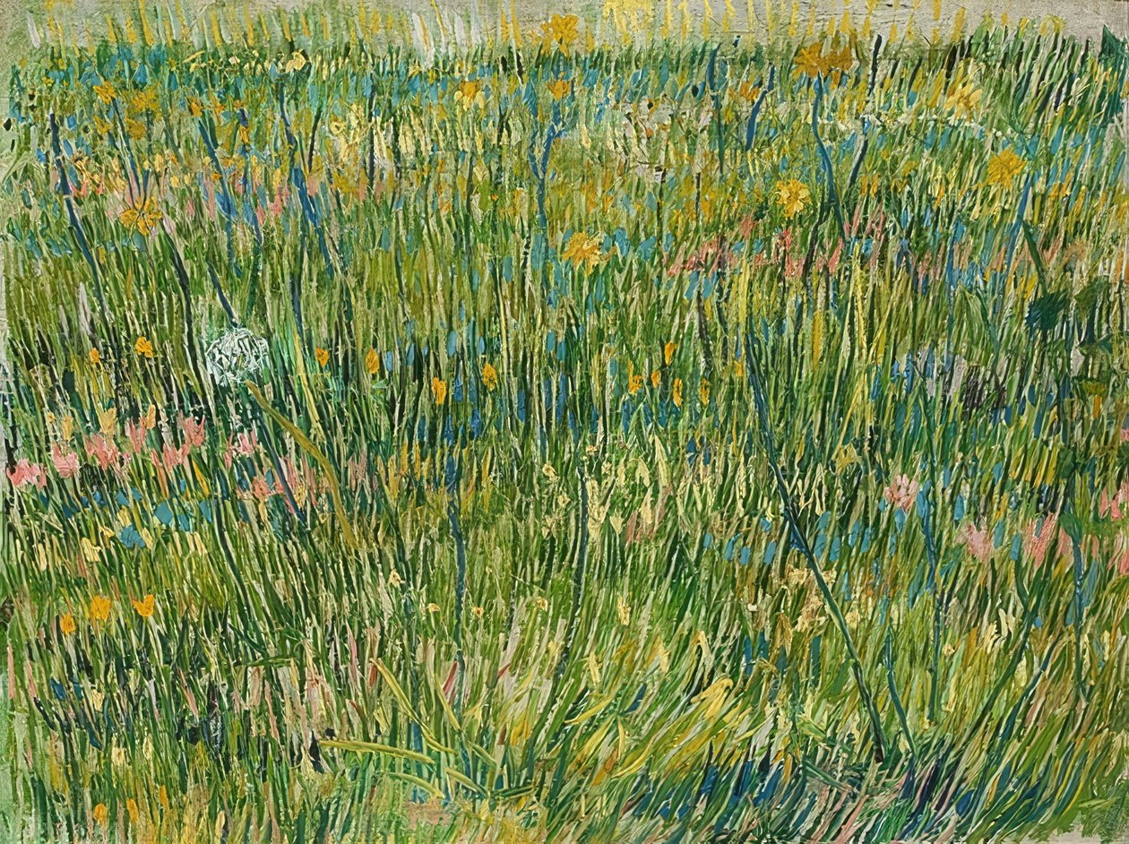 Morceau de pelouse - Vincent van Gogh