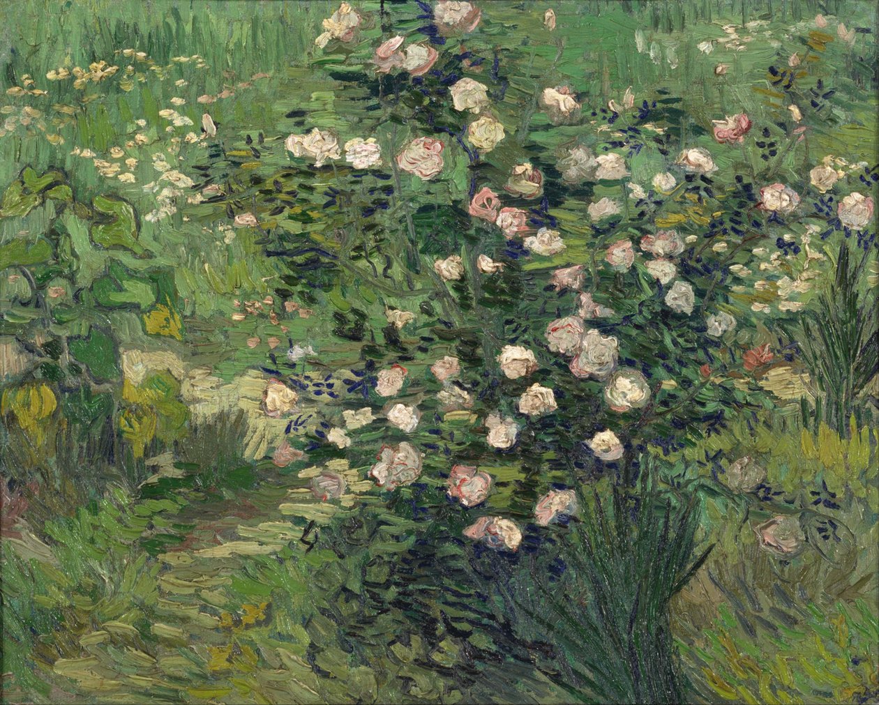 Roses - Vincent van Gogh