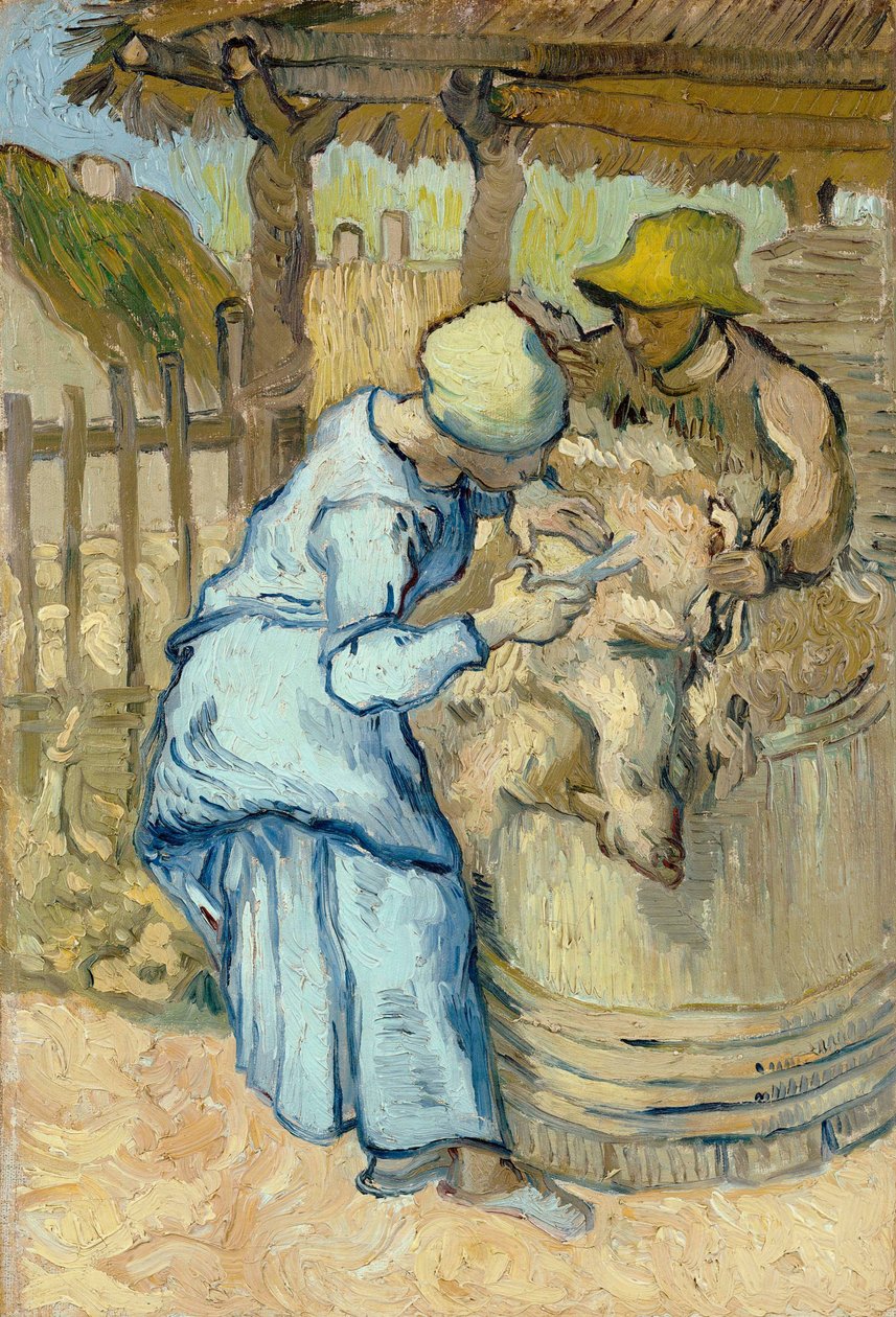 Le tondeur de moutons d