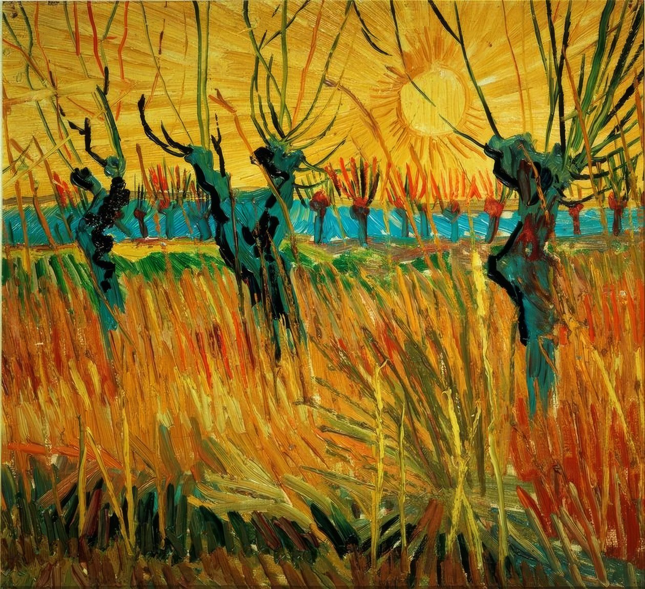 Saules au coucher du soleil - Vincent van Gogh