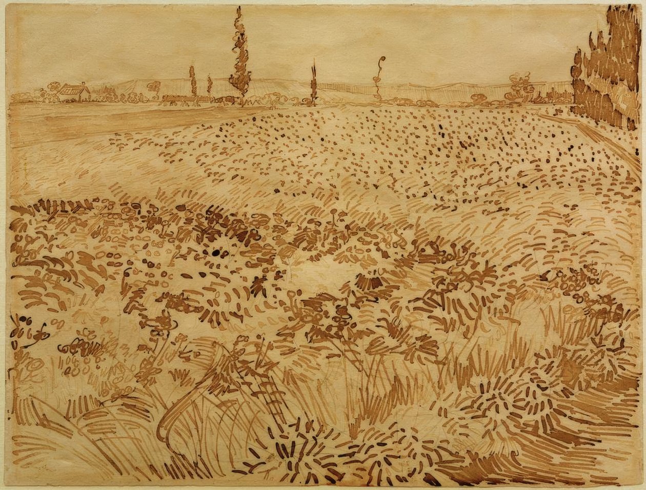 Champ de blé - Vincent van Gogh