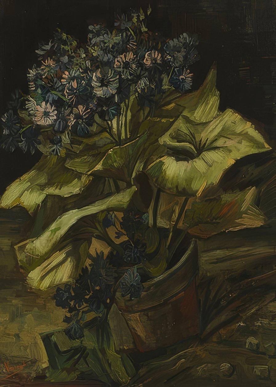 Zinerarie. 1885 - Vincent van Gogh