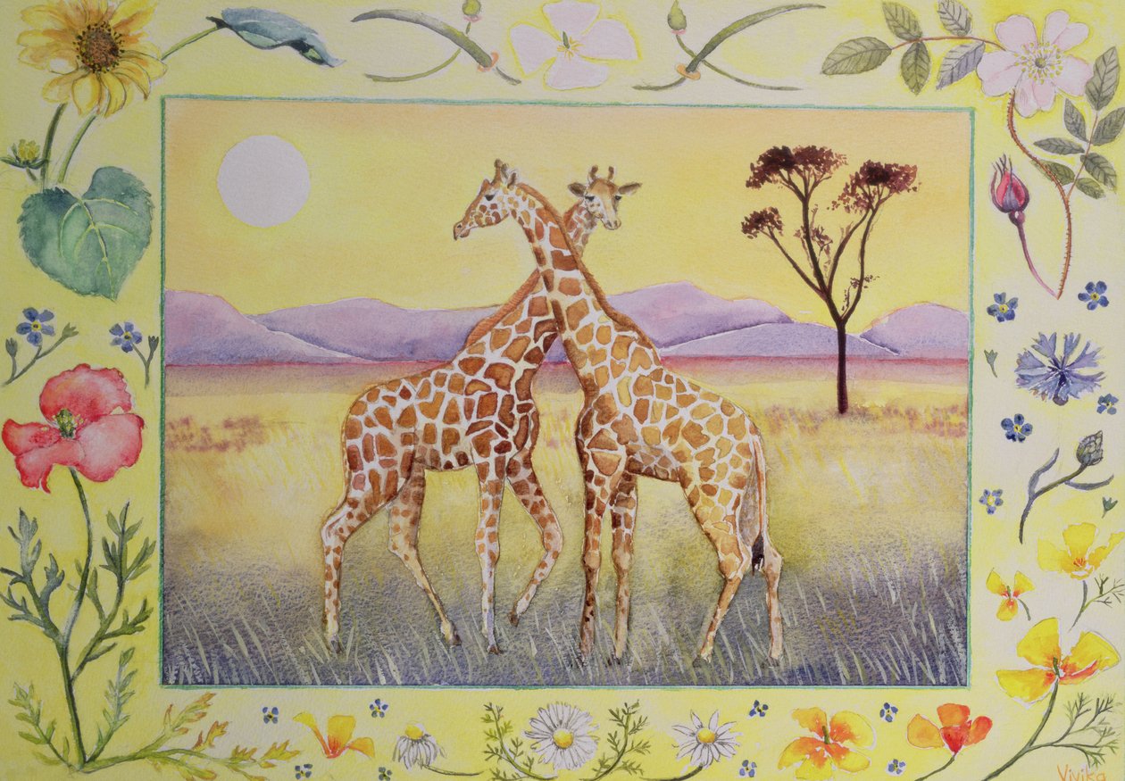 Girafe (mois de juillet d