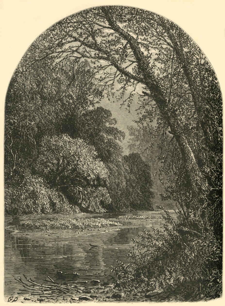 Moss Islands, dans la Juniata, 1874 - W.H. Morse