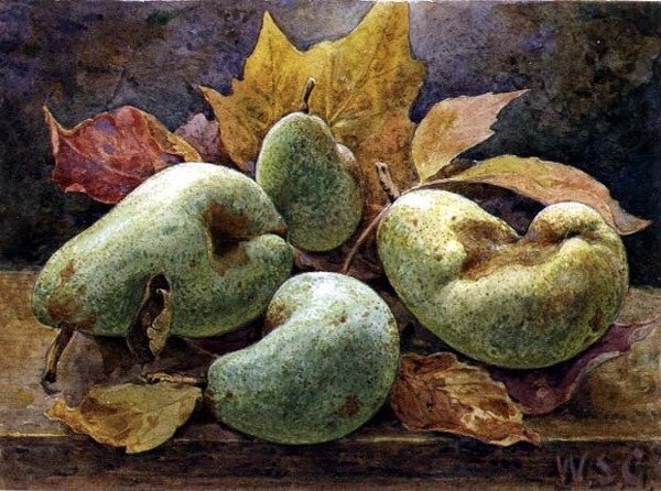 Pair et impair (poires) - W.S. Goodwin